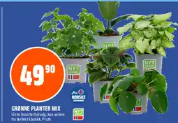 Coop Obs Grønne planter mix tilbud