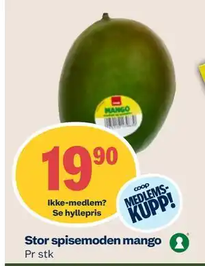 Coop Mega Stor spisemoden mango tilbud