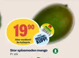 Coop Mega Stor spisemoden mango tilbud