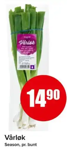 Spar SEASON Vårløk tilbud