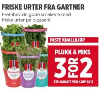 Meny Friske urter fra Gartner tilbud