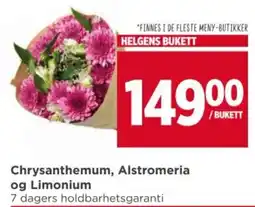 Meny Chrysanthemum, Alstromeria og Limonium tilbud