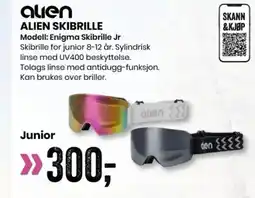 Sport Outlet Alien skibrille tilbud