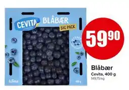 Spar Blåbær tilbud