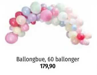 Nille Ballongbue, 60 ballonger tilbud