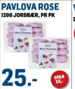 PAVLOVA ROSE