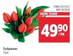 Meny Tulipaner 7pk tilbud
