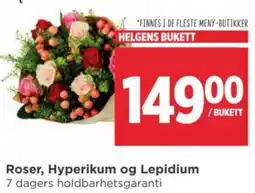 Meny Roser, Hyperikum og Lepidium tilbud