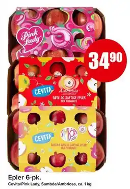 Epler 6-pk