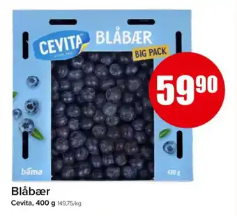 Spar Blåbær tilbud