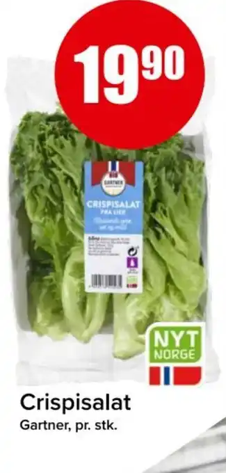 Spar GARTNER Crispisalat tilbud