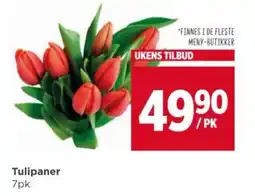 Meny Tulipaner tilbud