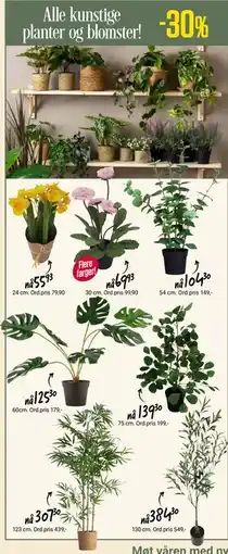 Europris Alle kunstige planter og blomster! tilbud