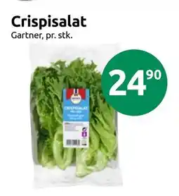 Joker Crispisalat tilbud