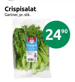 Joker Crispisalat tilbud