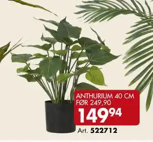 Sparkjøp ANTHURIUM 40 CM tilbud