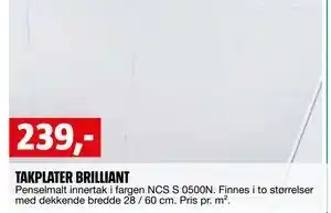 Bauhaus TAKPLATER BRILLIANT tilbud