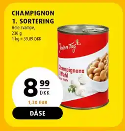 Scandinavian Park Champignon 1. sortering tilbud