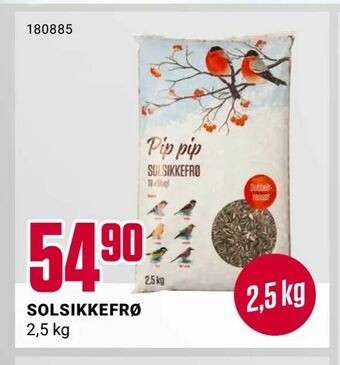 Europris Solsikkefrø tilbud