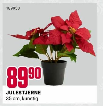 Europris Julestjerne tilbud