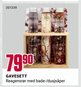Europris Gavesett tilbud