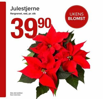 Spar Julestjerne tilbud