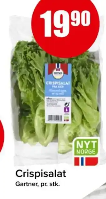 Spar GARTNER Crispisalat tilbud