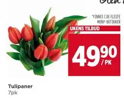 Meny Tulipaner tilbud
