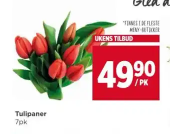 Meny Tulipaner 7pk tilbud