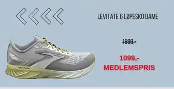 Intersport LEVITATE 6 LØPESKO DAME tilbud