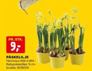 jem & fix PÅSKELILJE tilbud