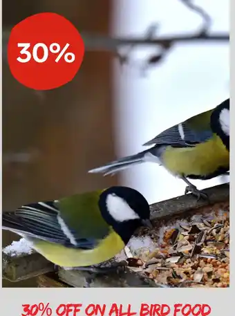 Plantasjen 30% off on all bird food tilbud