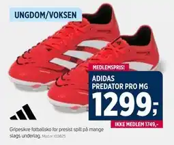 Sport 1 ADIDAS PREDATOR PRO MG tilbud