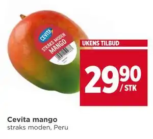 Meny Cevita mango tilbud