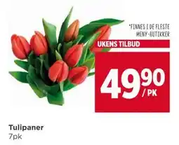 Meny Tulipaner tilbud