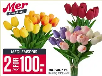 Europris TULIPAN, 7-PK tilbud