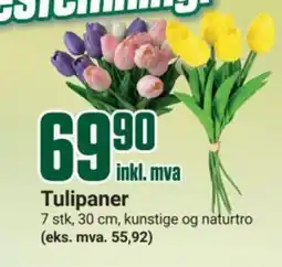 Europris Tulipaner tilbud