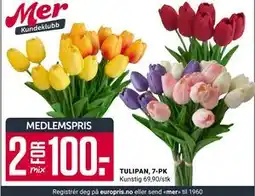 Europris TULIPAN, 7-PK tilbud