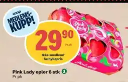 Matkroken Pink Lady epler 6 stk tilbud