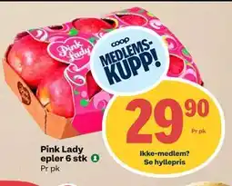 Matkroken Pink Lady epler 6 stk tilbud