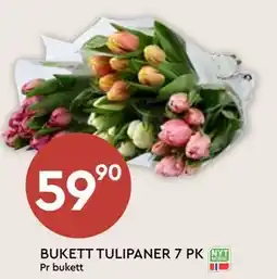 Coop Mega BUKETT TULIPANER 7 PK tilbud