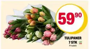 Coop Extra TULIPANER 7 STK tilbud