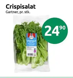 Joker Crispisalat tilbud