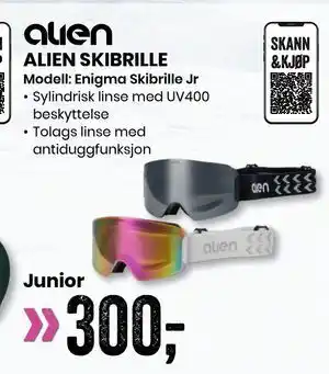 Sport Outlet ALIEN SKIBRILLE tilbud