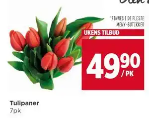 Meny Tulipaner tilbud