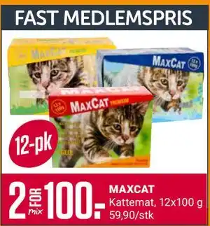 Europris MAXCAT tilbud