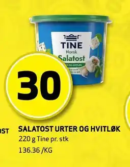 Bunnpris SALATOST URTER OG HVITLØK tilbud