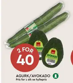 Coop Mega AGURK/AVOKADO tilbud