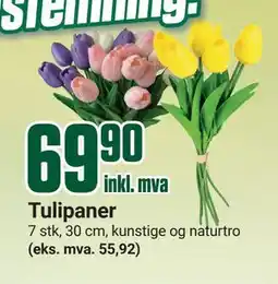 Europris Tulipaner tilbud