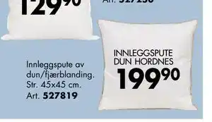 Sparkjøp INNLEGGSPUTE DUN HORDNES tilbud